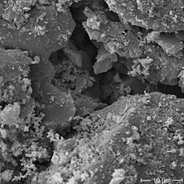 Image au microscope électronique à balayage d'un grain de charbon actif
